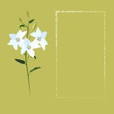 Fiori bianchi della molla royalty illustrazione gratis Fiori bianchi della molla royalty illustrazione gratis