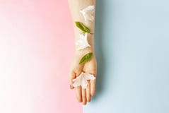 Fiori bianchi sulla mano femminile, sul rosa e sul fondo blu, spazio della copia immagini stock libere da diritti Fiori bianchi sulla mano femminile, sul rosa e sul fondo blu, spazio della copia immagini stock libere da diritti