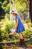 Fiori d'innaffiatura della ragazza del bambino nel giardino di estate, piccolo assistente Fotografia Stock Libera da Diritti Fiori d'innaffiatura della ragazza del bambino nel giardino di estate, piccolo assistente Fotografia Stock Libera da Diritti