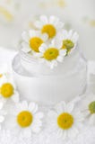 Fiori e crema della camomilla Fotografie Stock Libere da Diritti Fiori e crema della camomilla Fotografie Stock Libere da Diritti
