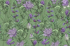 Fiori ed erbe isolati su un fondo verde illustrazione vettoriale Fiori ed erbe isolati su un fondo verde illustrazione vettoriale
