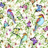 Fiori esotici, farfalle tropicali ed uccelli Reticolo floreale senza giunte watercolor royalty illustrazione gratis Fiori esotici, farfalle tropicali ed uccelli Reticolo floreale senza giunte watercolor royalty illustrazione gratis