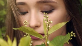 Fiori odoranti della ragazza di bellezza Primo piano Sano organico naturale di concetto, prodotti dei cosmetici archivi video Fiori odoranti della ragazza di bellezza Primo piano Sano organico naturale di concetto, prodotti dei cosmetici archivi video