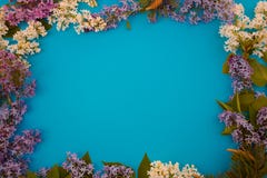Fiori presentati per i diari della copertura della foto immagine stock Fiori presentati per i diari della copertura della foto immagine stock