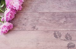 Fiori rosa delle peonie su un fondo di legno Fotografia commercializzante disegnata Fotografia di riserva disegnata Immagine dell Immagine Stock Libera da Diritti Fiori rosa delle peonie su un fondo di legno Fotografia commercializzante disegnata Fotografia di riserva disegnata Immagine dell Immagine Stock Libera da Diritti