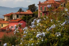 Fiori sui precedenti di vecchia città immagine stock libera da diritti Fiori sui precedenti di vecchia città immagine stock libera da diritti