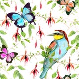 Fiori tropicali, uccello esotico e farfalle luminose Reticolo floreale senza giunte watercolour royalty illustrazione gratis Fiori tropicali, uccello esotico e farfalle luminose Reticolo floreale senza giunte watercolour royalty illustrazione gratis