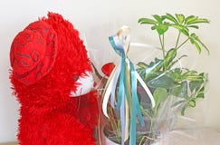 Fiori in un involucro di regalo fotografia stock libera da diritti Fiori in un involucro di regalo fotografia stock libera da diritti