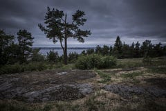 Fir-trees στην άκρη των ξύλων ενάντια στους θυελλώδεις ουρανούς αγνοούν τη λίμνη και την πόλη στην απόσταση στοκ εικόνα Fir-trees στην άκρη των ξύλων ενάντια στους θυελλώδεις ουρανούς αγνοούν τη λίμνη και την πόλη στην απόσταση στοκ εικόνα