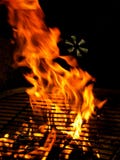 Fire on BBQ Grill