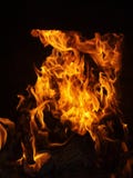 Living flames Living flames