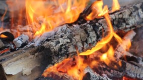 Fire flame. Burning Logs