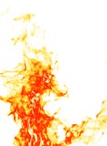 Fire On White Royalty Free Stock Images