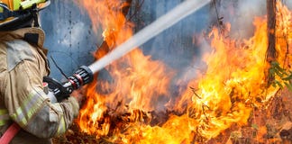 Firefighters Spray Water To Wildfire Royalty Free Stock Image