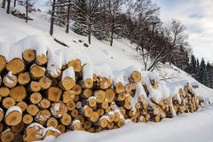 Firewood for the winter under the snow royalty free stock image Firewood for the winter under the snow royalty free stock image