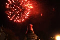 firework foto de stock royalty free firework foto de stock royalty free