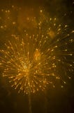 firework imagem de stock royalty free firework imagem de stock royalty free