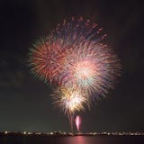firework foto de stock firework foto de stock
