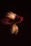 Fireworks Burst Royalty Free Stock Photos Fireworks Burst Royalty Free Stock Photos