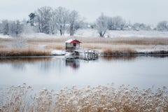 The first snow fell royalty free stock photography The first snow fell royalty free stock photography