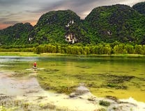 Fischer auf einem grünen See in Vietnam während des Sonnenuntergangs stockfoto Fischer auf einem grünen See in Vietnam während des Sonnenuntergangs stockfoto