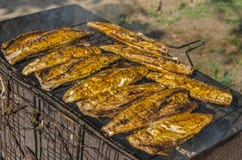 Fish Barbecue Royalty Free Stock Photo