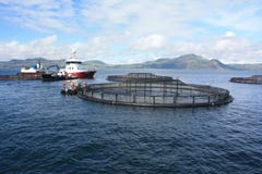 Fish Farming off the West Coast of Scotland royalty free stock image Fish Farming off the West Coast of Scotland royalty free stock image