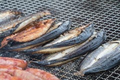 Fish on the grill royalty free stock image Fish on the grill royalty free stock image