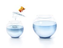 Fish jumping out of the bowl. 3D illustration stock images Fish jumping out of the bowl. 3D illustration stock images