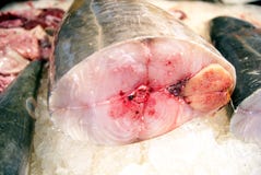 Fish Meat Stock Photo