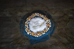 Fish net and seashell Newborn photography digital background pro stock photography Fish net and seashell Newborn photography digital background pro stock photography