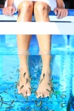 Fish Spa Pedicure Royalty Free Stock Image Fish Spa Pedicure Royalty Free Stock Image