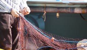 Fisherman Pulling Net Royalty Free Stock Image
