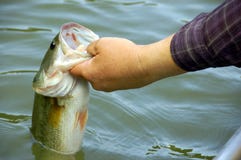 Fishing For Bass Stock Photography