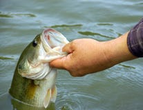 Fishing For Bass Royalty Free Stock Photo