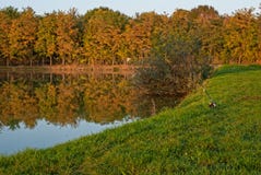 Fishing lake on a sunny autumn day. Beautiful reflections of trees in the water Stock Image Fishing lake on a sunny autumn day. Beautiful reflections of trees in the water Stock Image