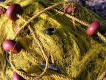 Fishnet und Seashell lizenzfreies stockbild Fishnet und Seashell lizenzfreies stockbild