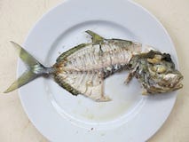 Fiskskelett p? en platta Ben av den tropiska fisken royaltyfri foto Fiskskelett p? en platta Ben av den tropiska fisken royaltyfri foto