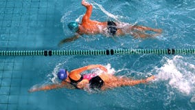 Fit swimmers racing in the swimming pool