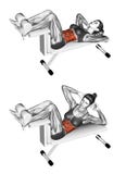 Fitness exercising. Crunch Bench. Female