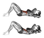 Fitness exercising. Flexion of the trunk with the rise of the pelvis lying on the floor. Female vector illustration Fitness exercising. Flexion of the trunk with the rise of the pelvis lying on the floor. Female vector illustration