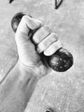 Fitness training gym royalty free stock images Fitness training gym royalty free stock images