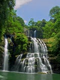 Fiume della giungla Fiume della giungla