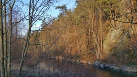Fiume di Malse, Boemia del sud, Cechia Fotografie Stock Fiume di Malse, Boemia del sud, Cechia Fotografie Stock