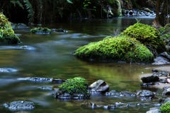 Fiume tranquillo fotografia stock libera da diritti Fiume tranquillo fotografia stock libera da diritti