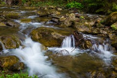 Fiume veloce della montagna, molla in Carpathians, Ucraina fotografie stock Fiume veloce della montagna, molla in Carpathians, Ucraina fotografie stock