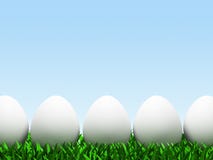Five Eggs In Row Isolated On White Background Stock Photography