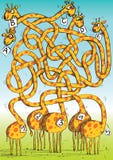 Five Giraffes Maze Game