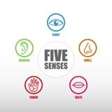 Five senses icon set stock vector. Illustration of funny - 77311926