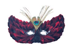 Fjäderkattmaskering royaltyfria foton Fjäderkattmaskering royaltyfria foton